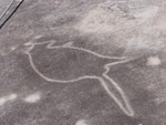Highlight for Album: Indigenous rock carvings