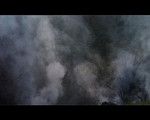 bush_smoke_aftermath.jpg